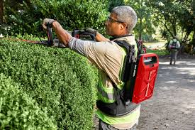 Complete Kress Hedge Trimmer Guide by Automation Hub