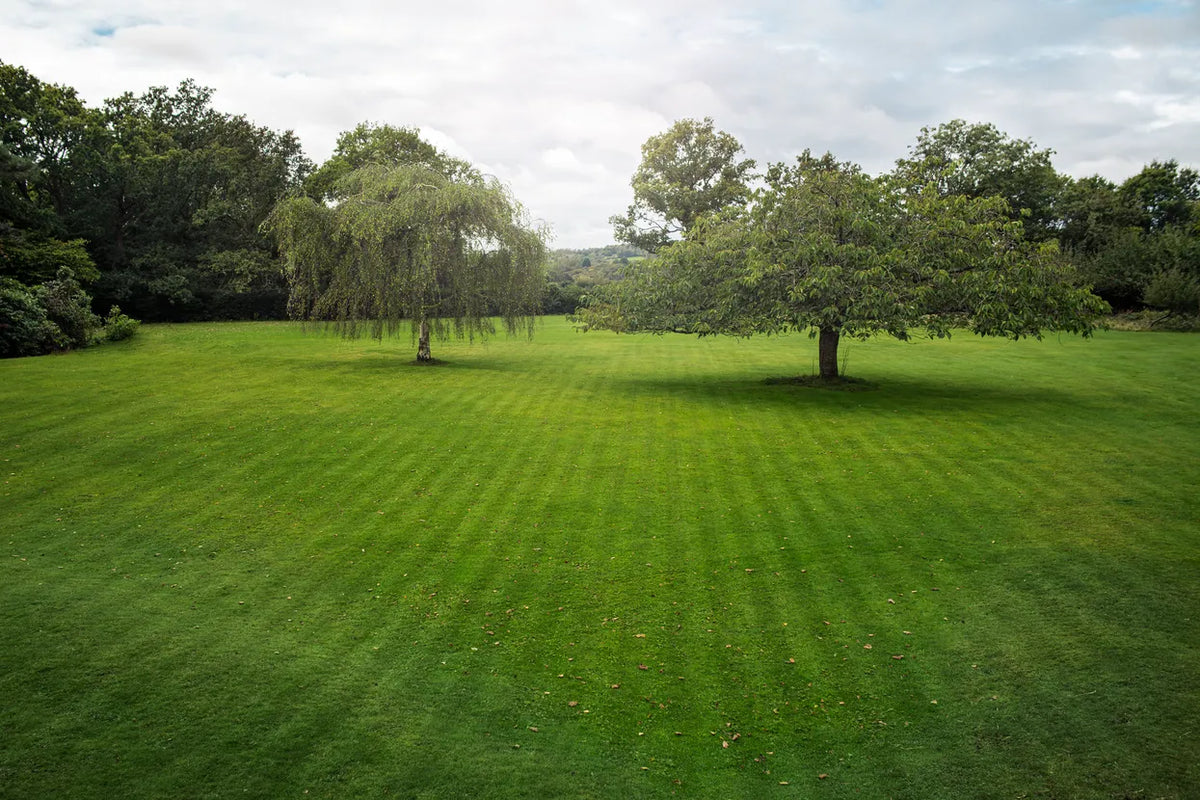 Husqvarna Automower Robotic Lawn Mowers